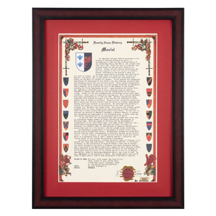 My Lineage Banner & Map Set – Detailed family coat of arms displayed on velvet with a personalized history and full coat of arms symbolism explanation.